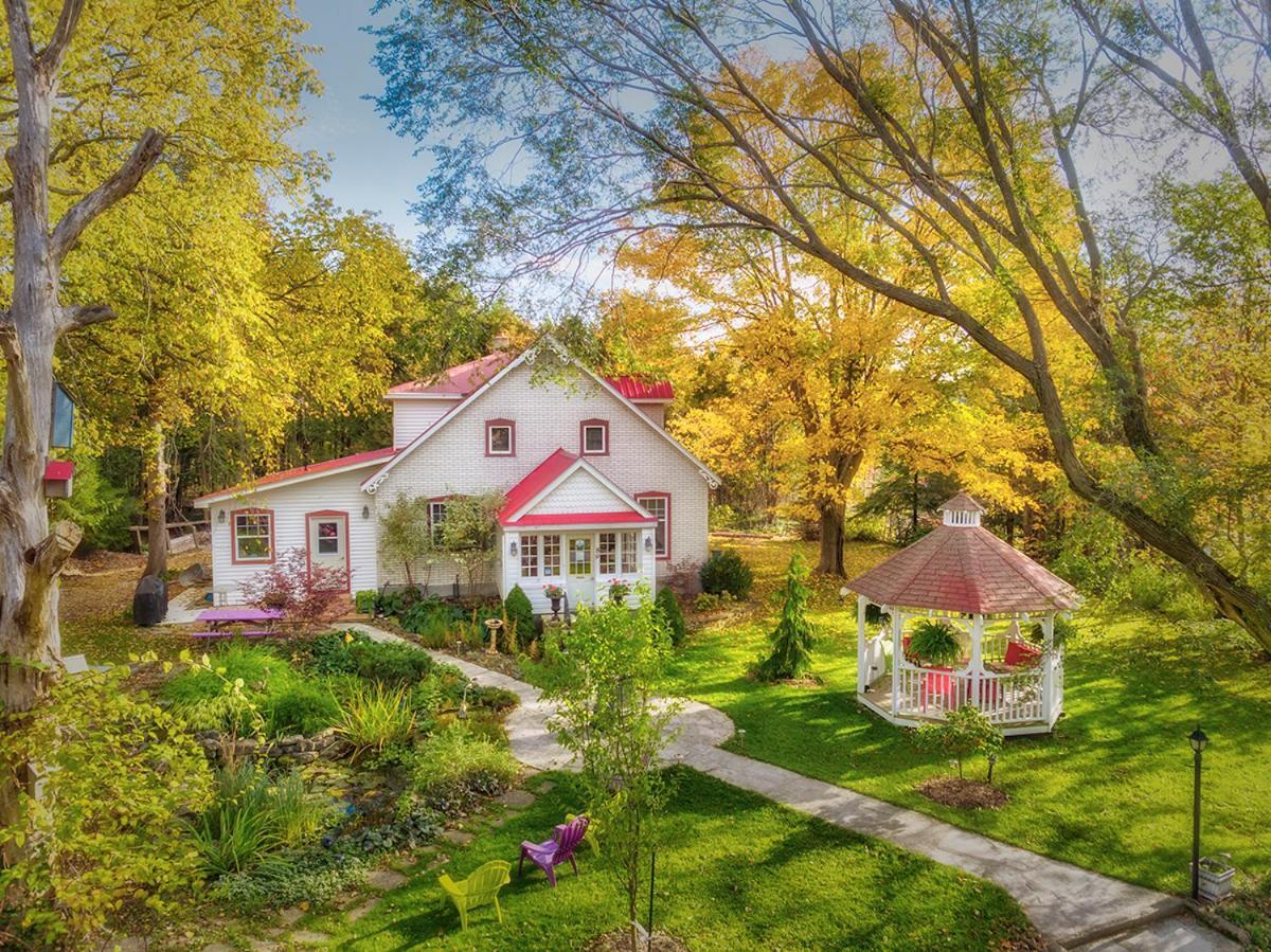 Lionheart Guest House Лайънс Хед Екстериор снимка